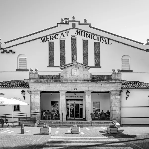 mercado municipal de oliva