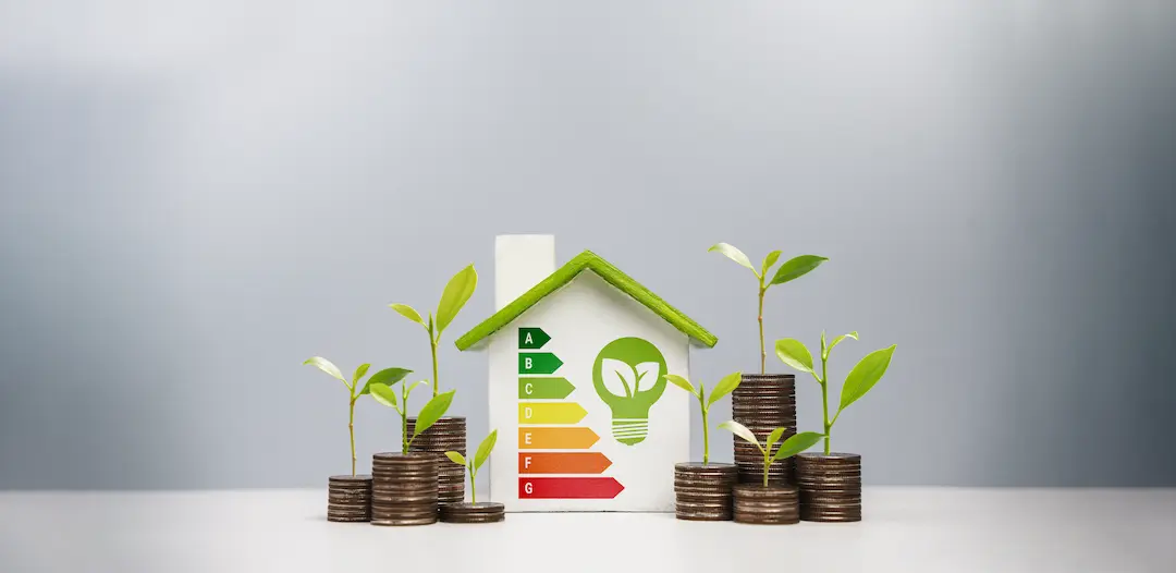 subastas_ahorro_energetico